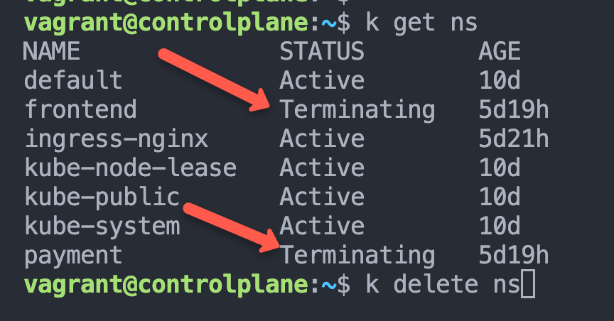 Kubernetes namespaces Stuck in the terminating State